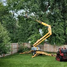 Best Utility Line Clearance  in USA